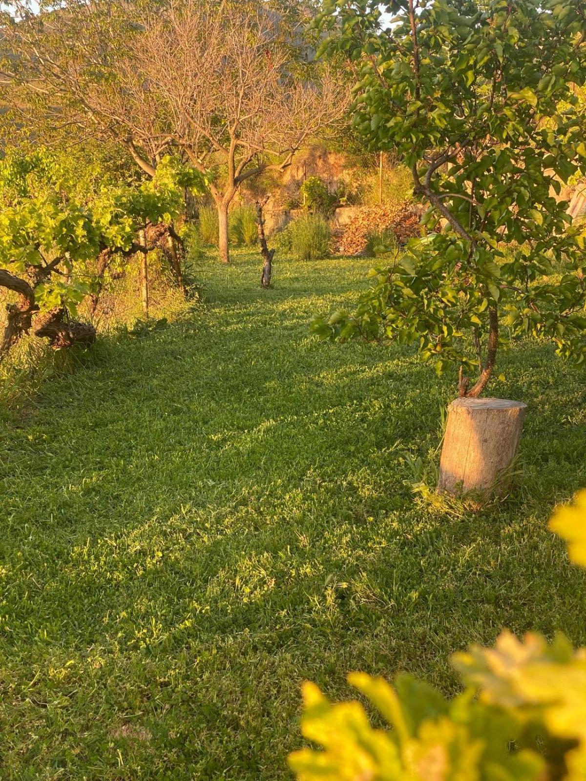 Casa Rural Balcon De モナチル エクステリア 写真